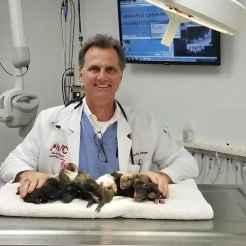 Dr. Eisel and Kittens